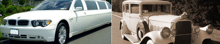M & V Limousine - The Ultimate in Exotic Luxury